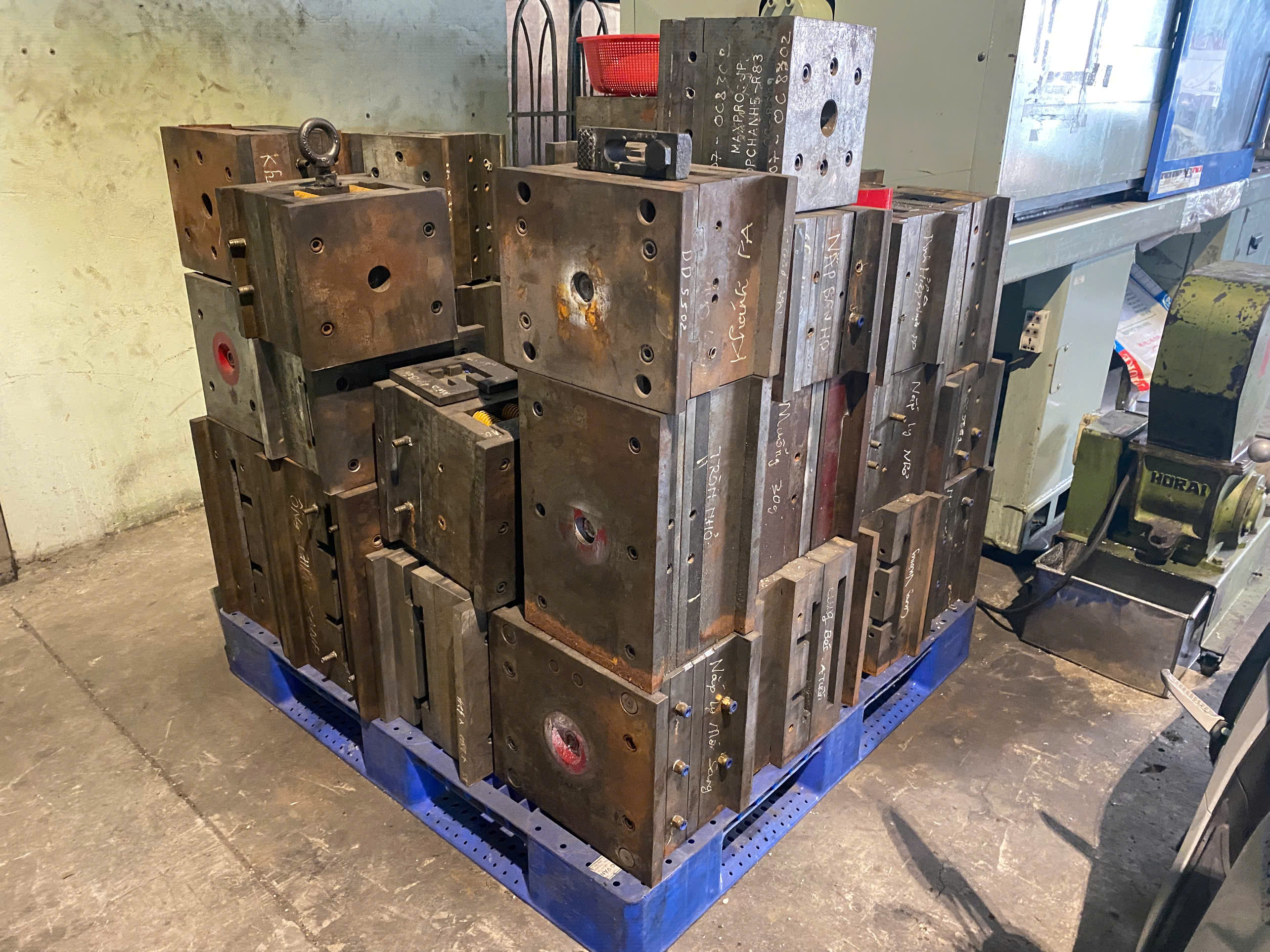 Mold shelf area 2.jpg